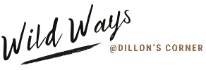 Wild Ways @ Dillon's Corner